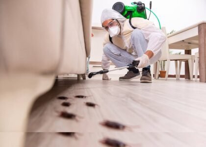 IRON Pest Control