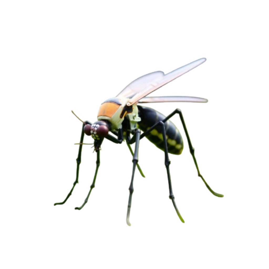 MOSQUITO CONTROL